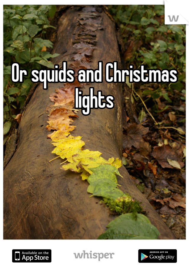 Or squids and Christmas lights