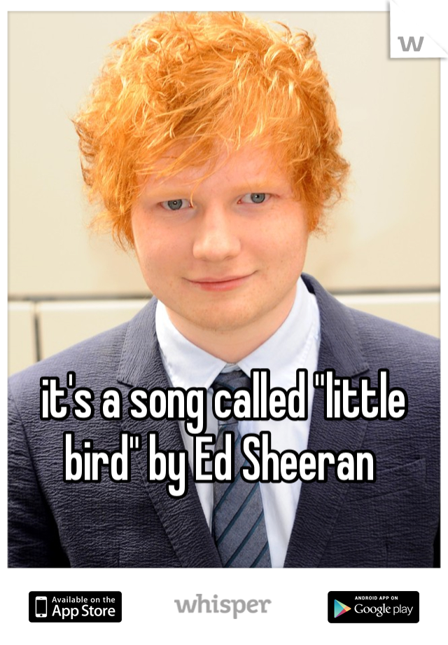 it's a song called "little bird" by Ed Sheeran 