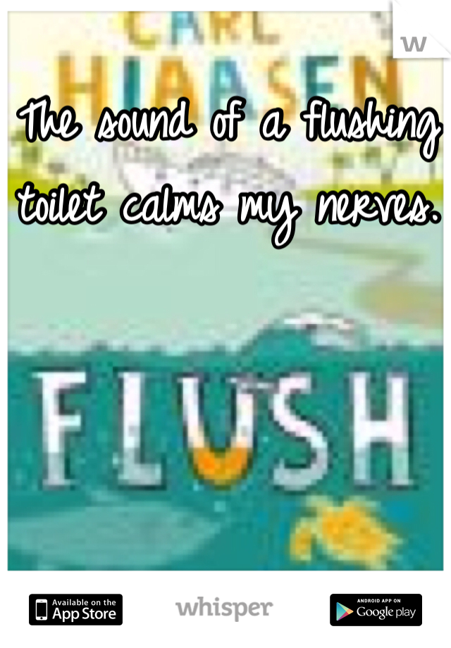 The sound of a flushing toilet calms my nerves. 