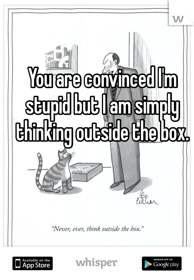 You are convinced I'm stupid but I am simply thinking outside the box. 