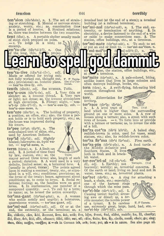 learn-to-spell-god-dammit