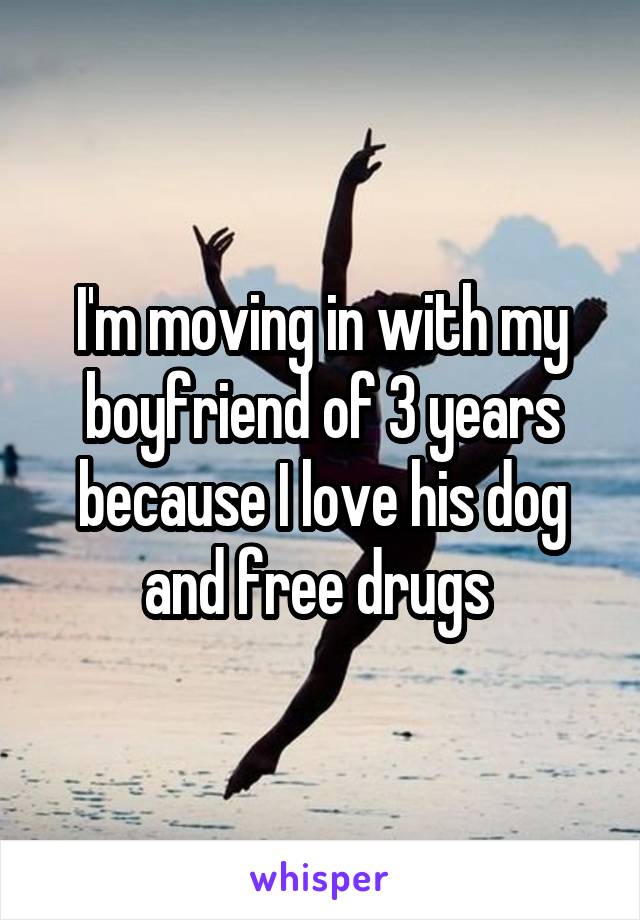 I'm moving in with my boyfriend of 3 years because I love his dog and free drugs 