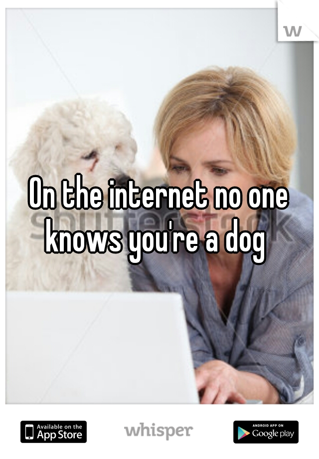 On the internet no one knows you're a dog  