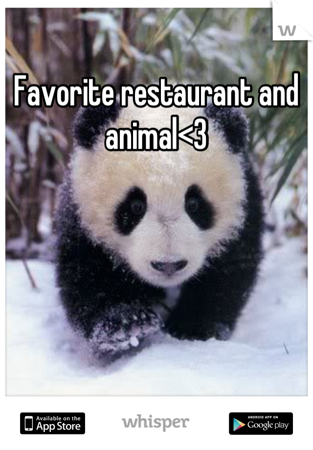 Favorite restaurant and animal<3