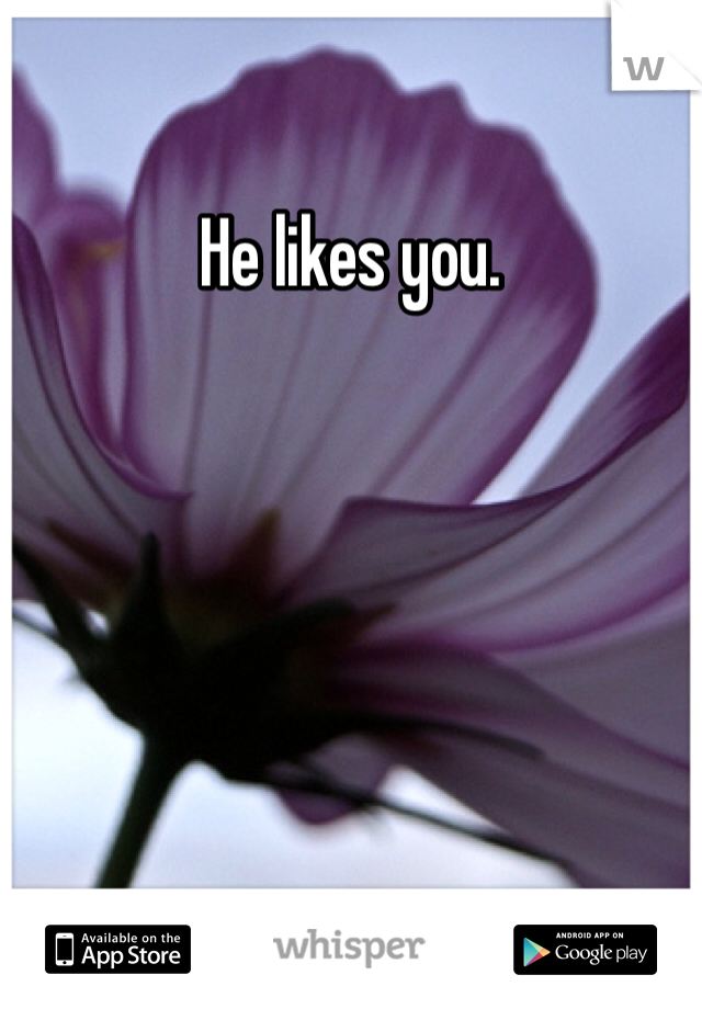 He likes you. 