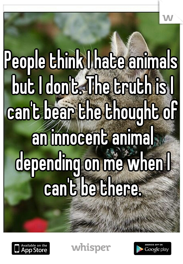 People think I hate animals but I don't. The truth is I can't bear the thought of an innocent animal depending on me when I can't be there.