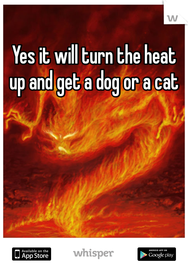Yes it will turn the heat up and get a dog or a cat 