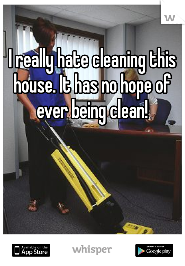 I really hate cleaning this house. It has no hope of ever being clean!