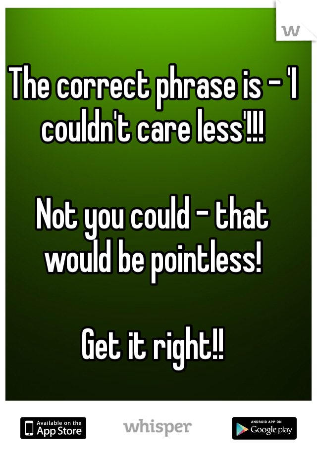 The correct phrase is - 'I couldn't care less'!!! 

Not you could - that would be pointless!

Get it right!! 