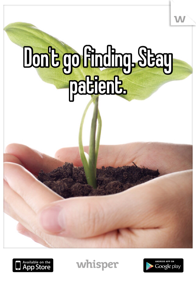 Don't go finding. Stay patient.