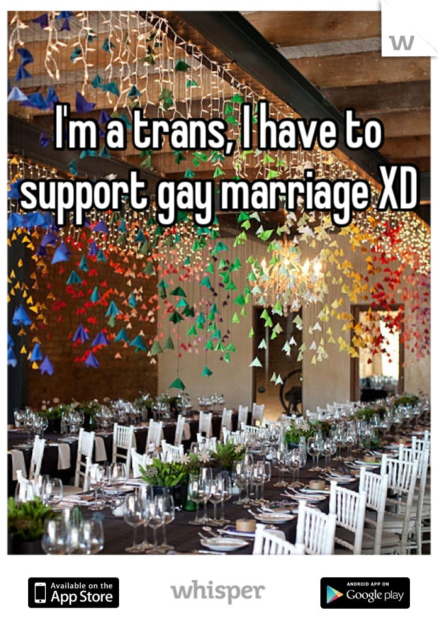 I'm a trans, I have to support gay marriage XD