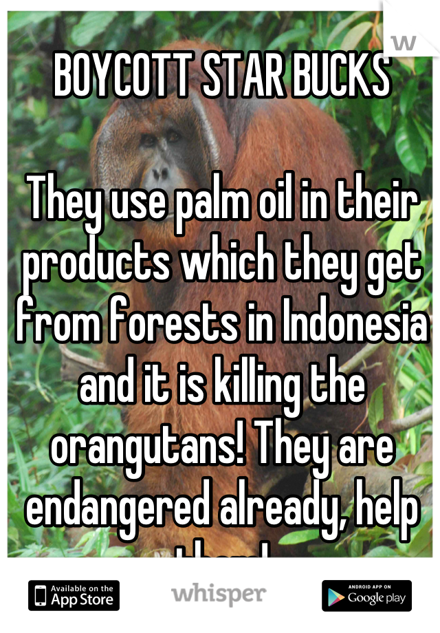 BOYCOTT STAR BUCKS

They use palm oil in their products which they get from forests in Indonesia and it is killing the orangutans! They are endangered already, help them!