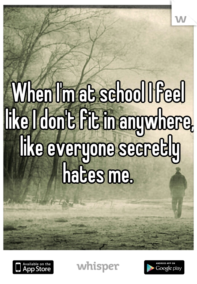 When I'm at school I feel like I don't fit in anywhere, like everyone secretly hates me. 