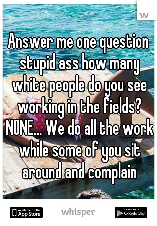Answer me one question stupid ass how many white people do you see working in the fields? NONE... We do all the work while some of you sit around and complain