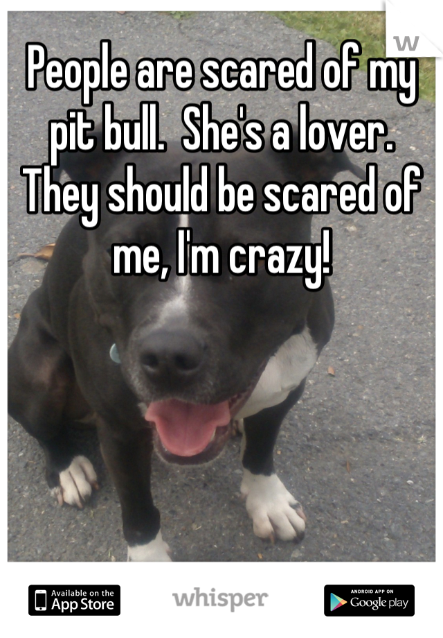 People are scared of my pit bull.  She's a lover. They should be scared of me, I'm crazy!