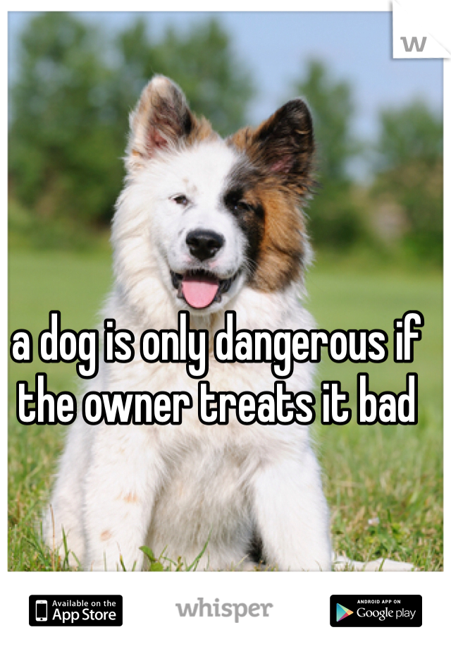 a dog is only dangerous if the owner treats it bad