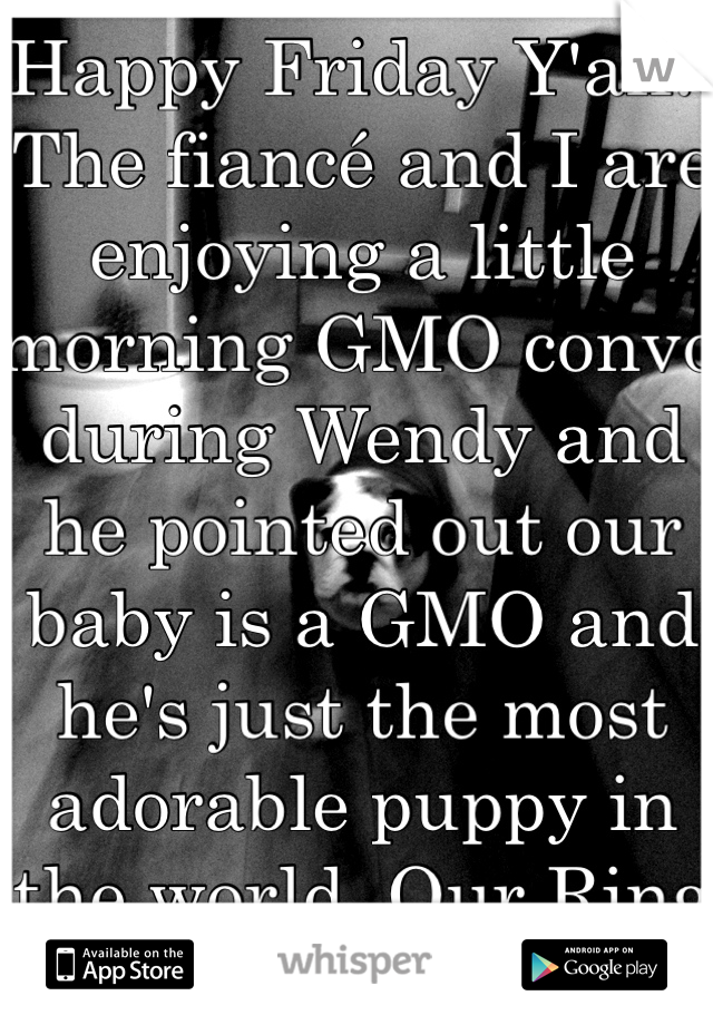 Happy Friday Y'all!! 
The fiancé and I are enjoying a little morning GMO convo during Wendy and he pointed out our baby is a GMO and he's just the most adorable puppy in the world. Our Ring bearer! ;)