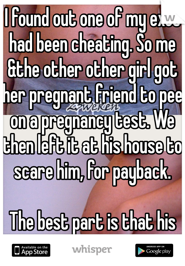 I found out one of my exes had been cheating. So me &the other other girl got her pregnant friend to pee on a pregnancy test. We then left it at his house to scare him, for payback.

The best part is that his Mom found it..