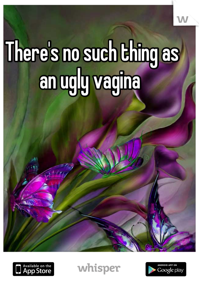 There's no such thing as an ugly vagina 