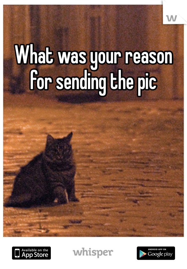 What was your reason for sending the pic