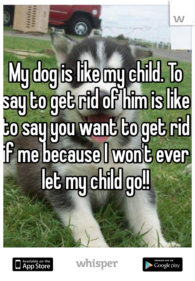 My dog is like my child. To say to get rid of him is like to say you want to get rid if me because I won't ever let my child go!!