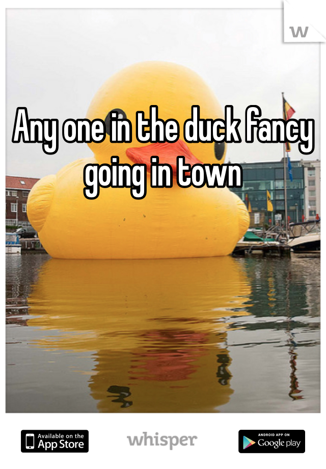 Any one in the duck fancy going in town 