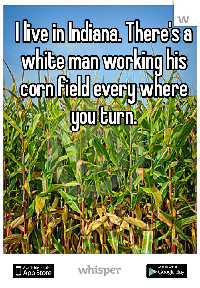 I live in Indiana. There's a white man working his corn field every where you turn.