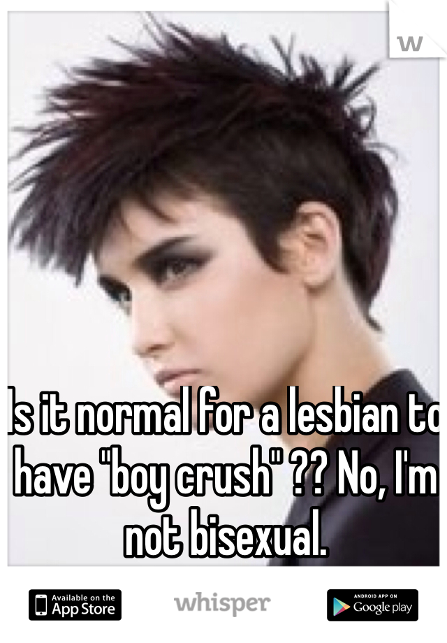 Is it normal for a lesbian to have "boy crush" ?? No, I'm not bisexual.