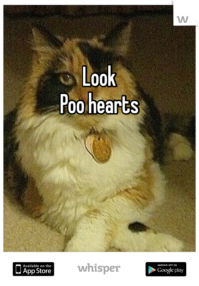 Look 
Poo hearts 