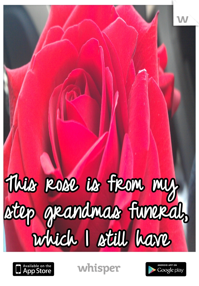 This rose is from my step grandmas funeral,  which I still have regrets over...
