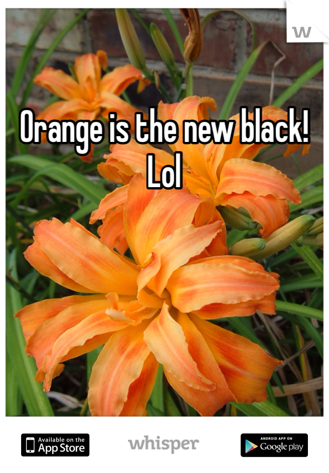 Orange is the new black! Lol