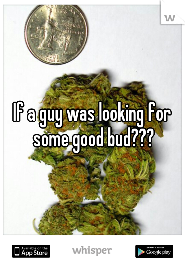 If a guy was looking for some good bud???