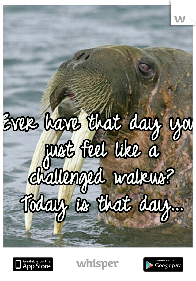 Ever have that day you just feel like a challenged walrus? Today is that day...
