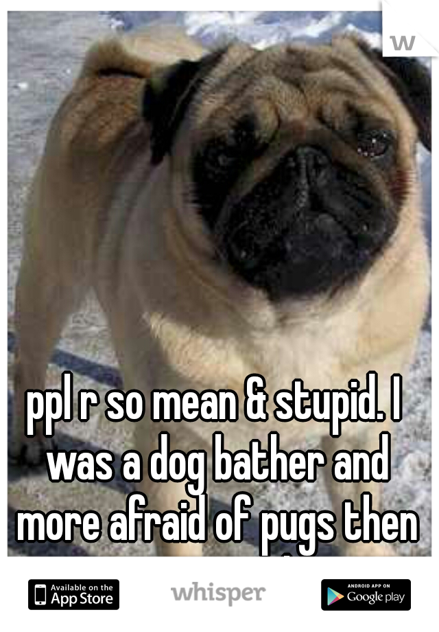 ppl r so mean & stupid. I was a dog bather and more afraid of pugs then pits.... smh