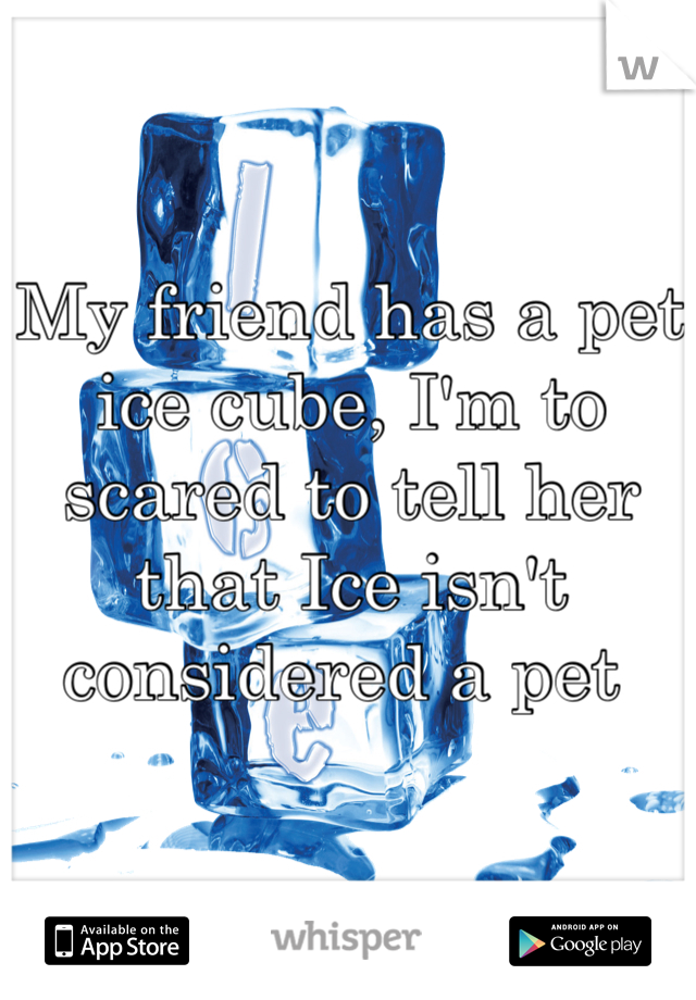 My friend has a pet ice cube, I'm to scared to tell her that Ice isn't considered a pet 
