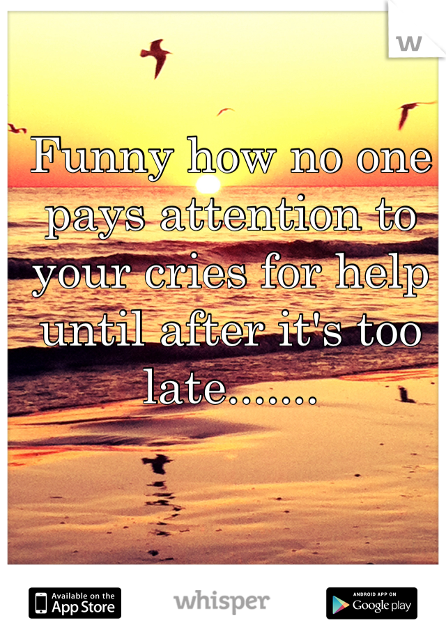 Funny how no one pays attention to your cries for help until after it's too late.......