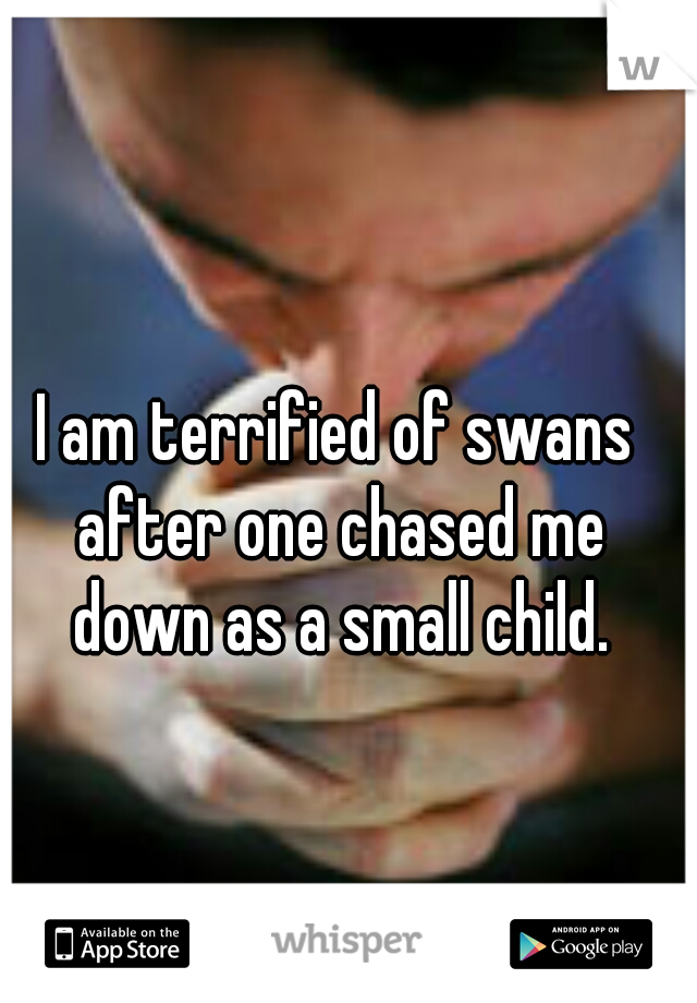 I am terrified of swans after one chased me down as a small child.