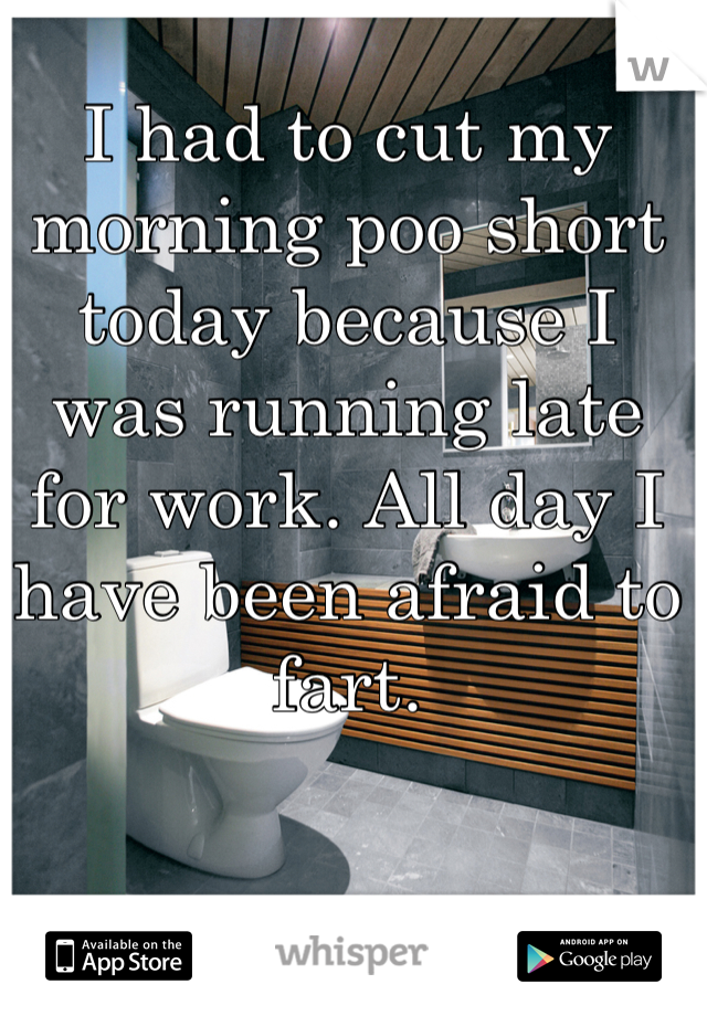 I had to cut my morning poo short today because I was running late for work. All day I have been afraid to fart.