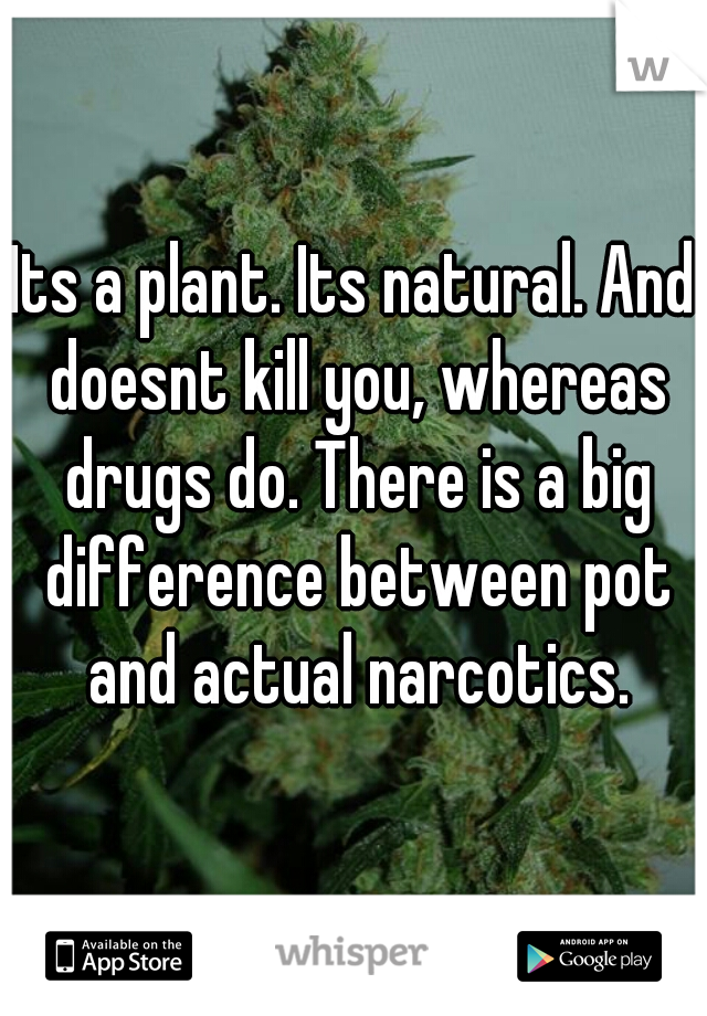 Its a plant. Its natural. And doesnt kill you, whereas drugs do. There is a big difference between pot and actual narcotics.