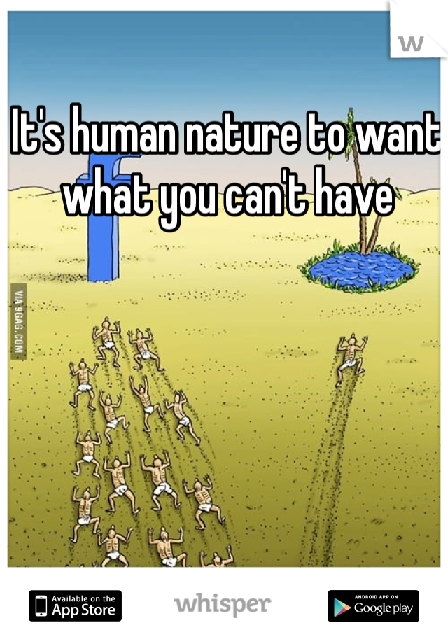 It's human nature to want what you can't have