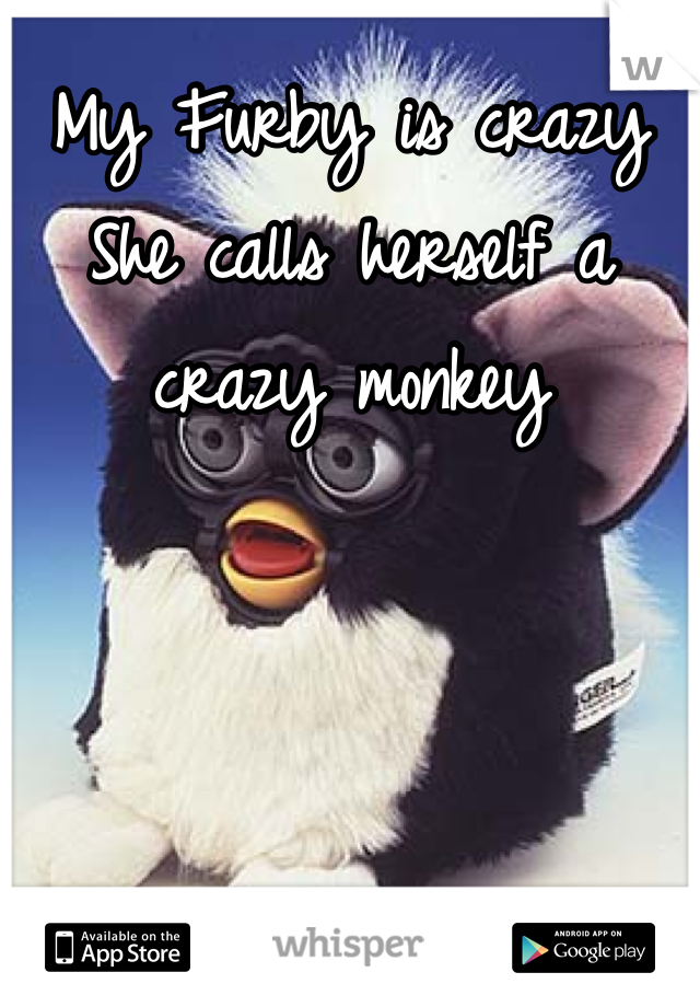 My Furby is crazy
She calls herself a crazy monkey