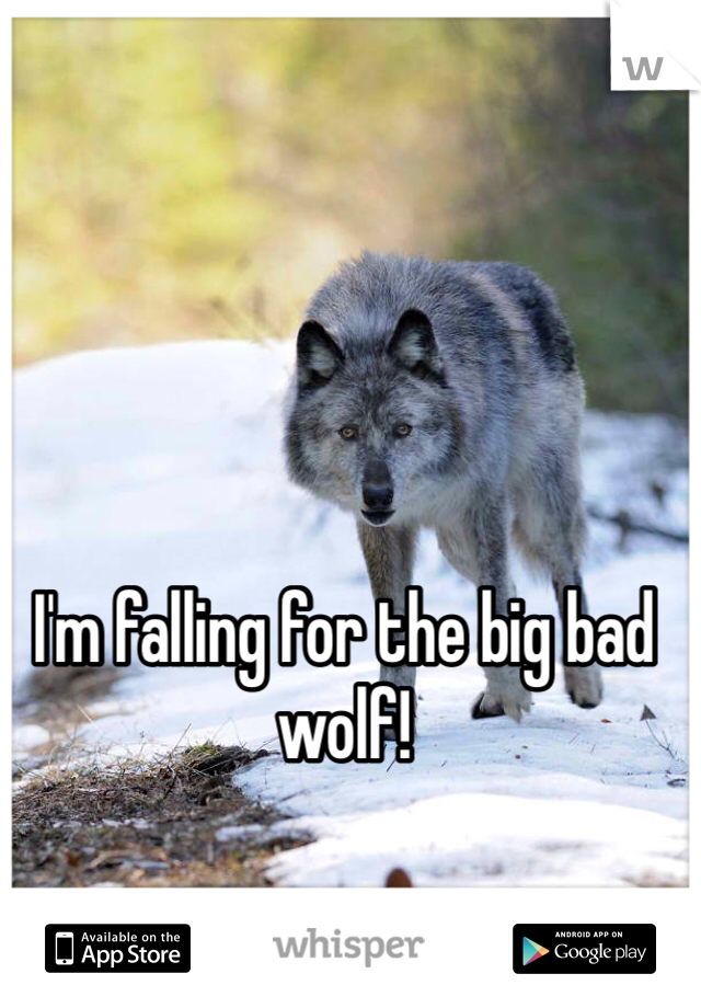 I'm falling for the big bad wolf!
