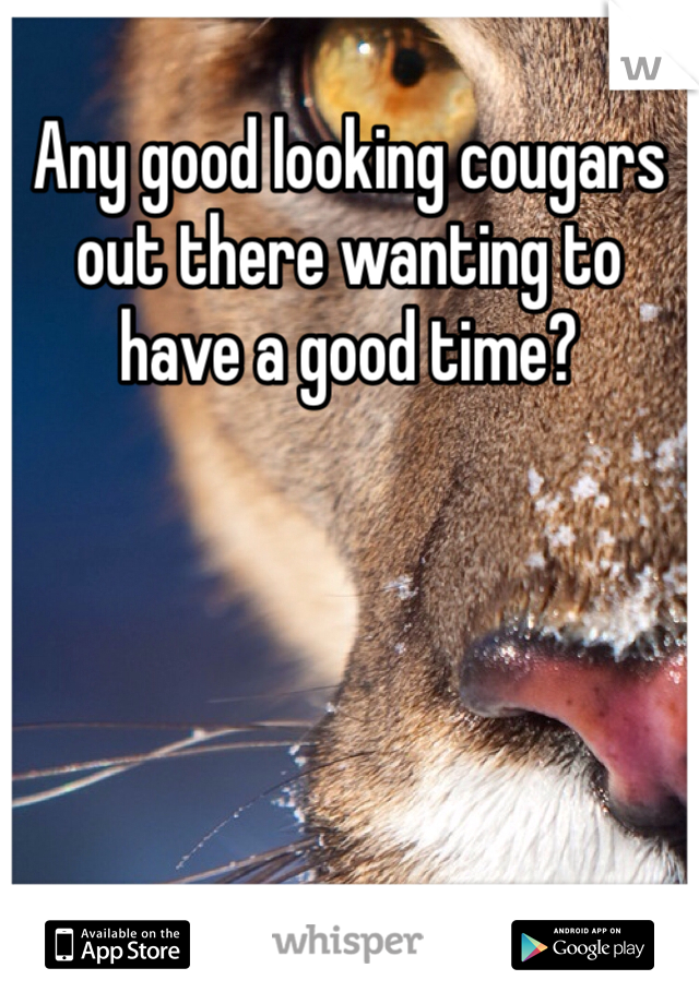 Any good looking cougars out there wanting to have a good time?