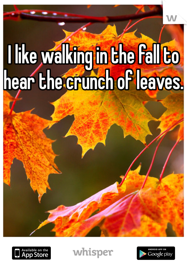I like walking in the fall to hear the crunch of leaves.