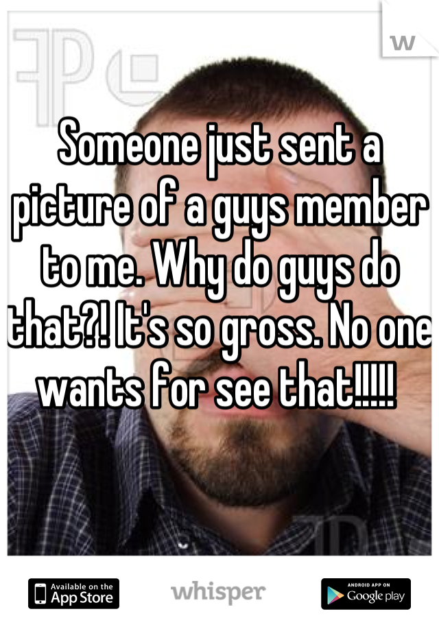 Someone just sent a picture of a guys member to me. Why do guys do that?! It's so gross. No one wants for see that!!!!! 