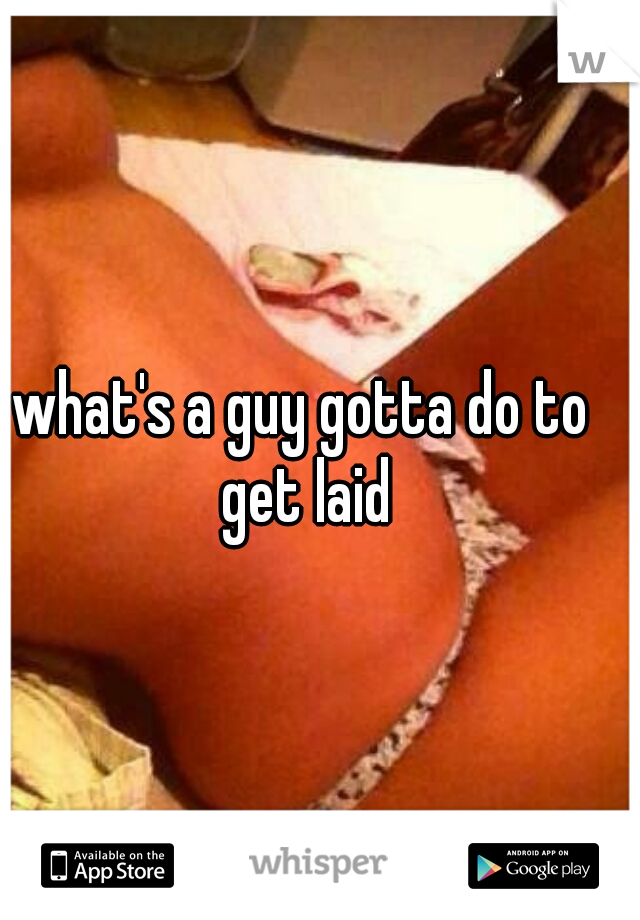 what's a guy gotta do to get laid
 