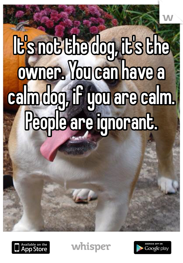 It's not the dog, it's the owner. You can have a calm dog, if you are calm. People are ignorant.