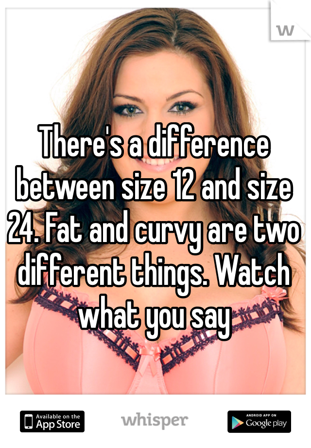 There's a difference between size 12 and size 24. Fat and curvy are two different things. Watch what you say 