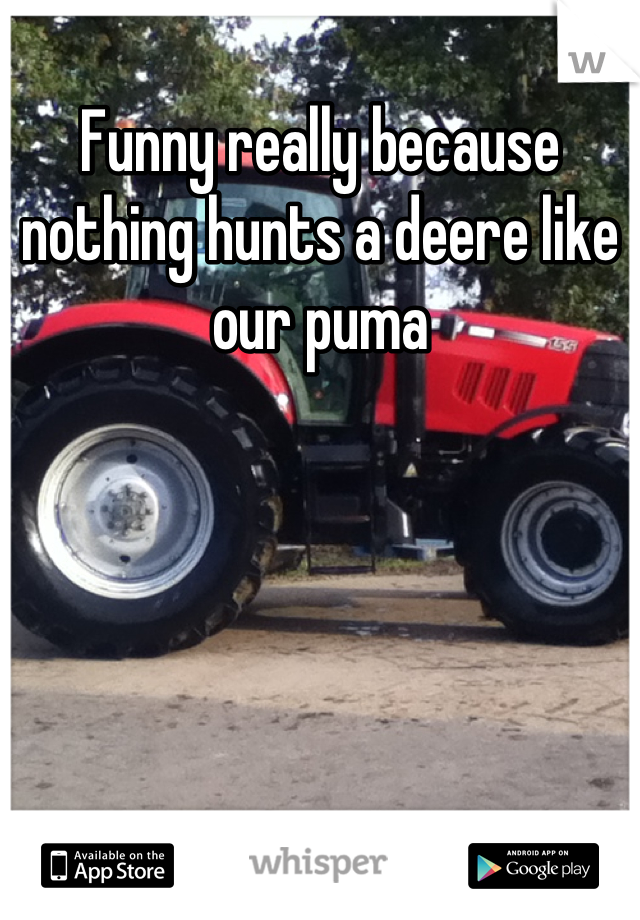Funny really because nothing hunts a deere like our puma