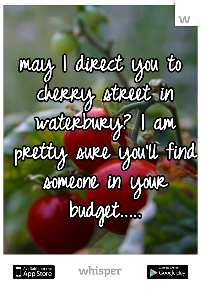 may I direct you to cherry street in waterbury? I am pretty sure you'll find someone in your budget.....
